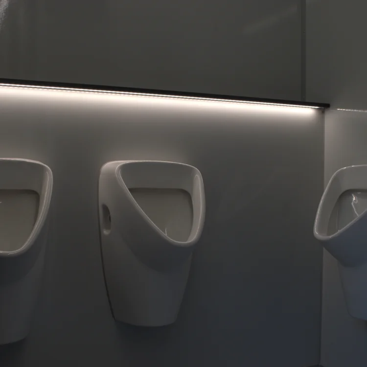 Urinale in einem mietbaren Toilettenwagen